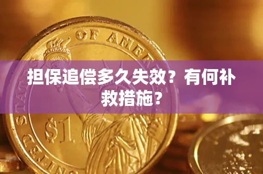 北京担保追偿多久失效?有何补救措施? 北京担保追偿多久失效?有何补救措施?