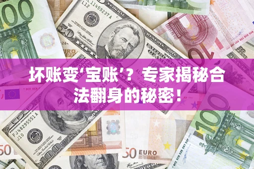 北京坏账变‘宝账’?专家揭秘合法翻身的秘密! 北京坏账变‘宝账’?专家揭秘合法翻身的秘密!